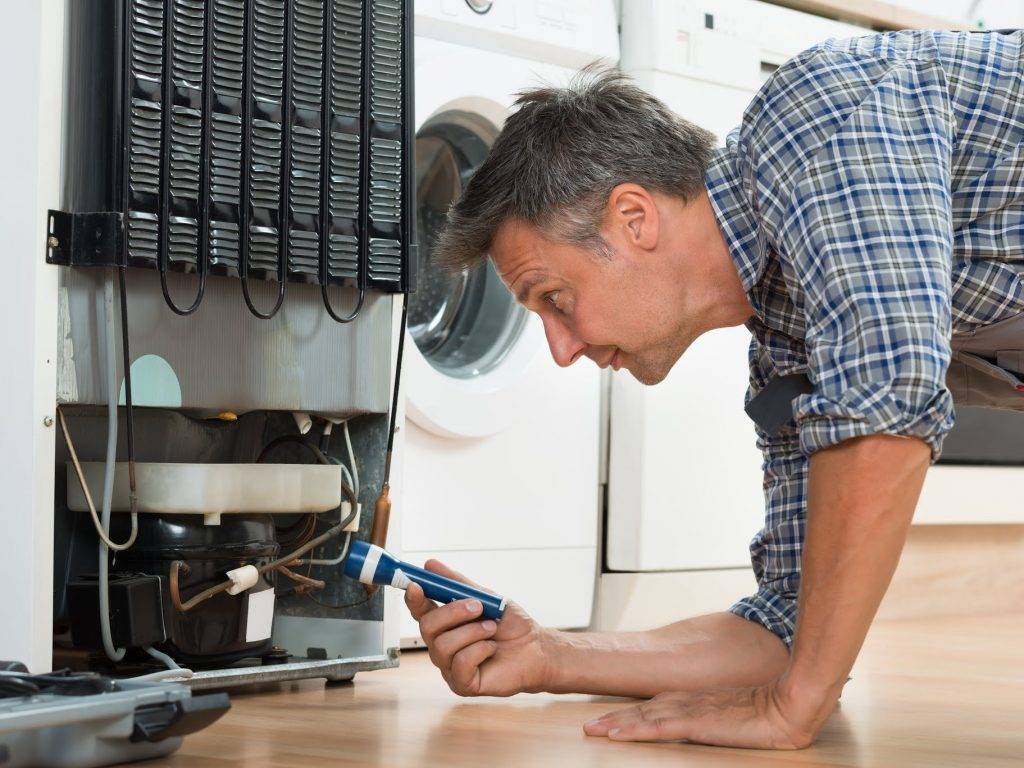 Refrigerator & Freezer Repair